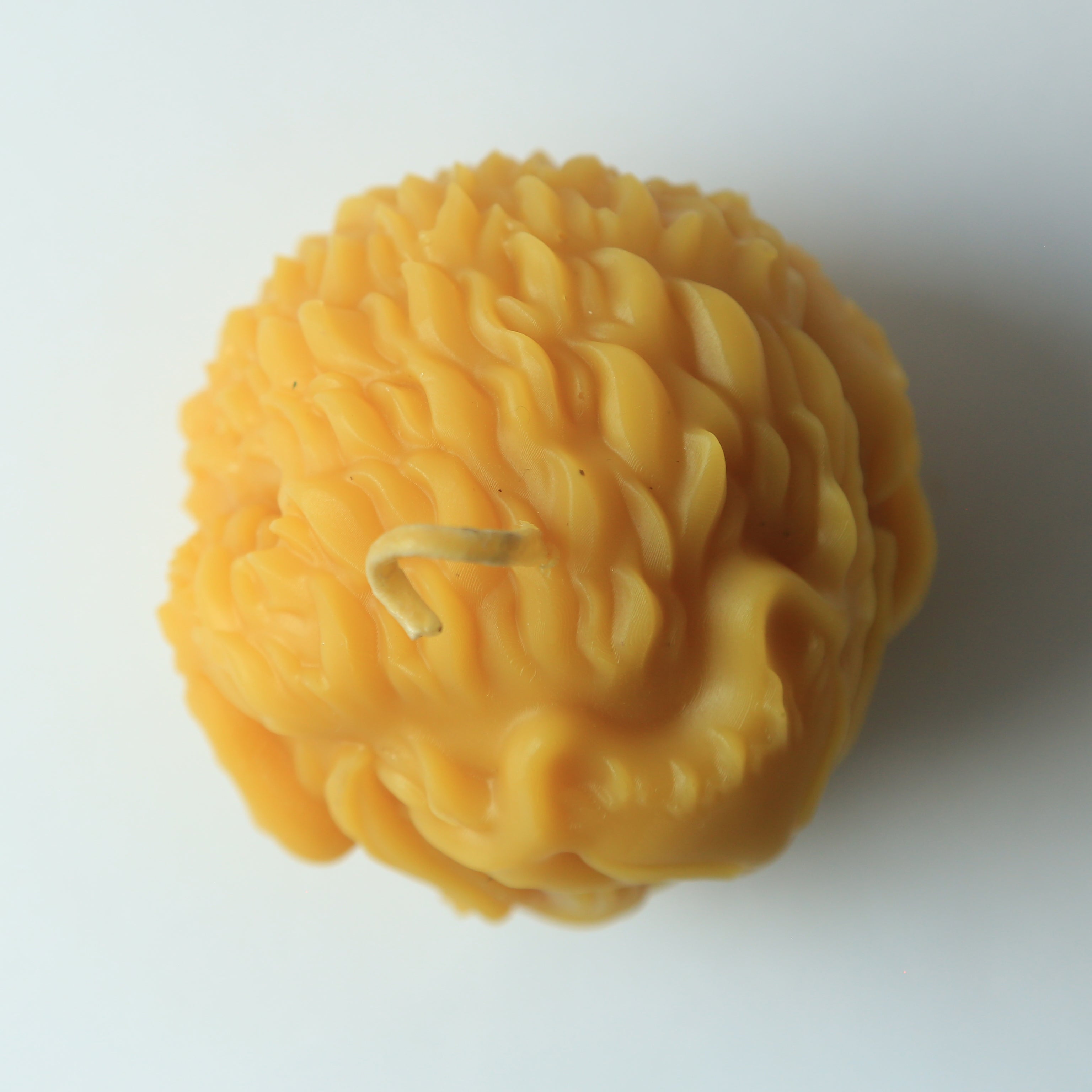 Fox I 100% Beeswax Candles