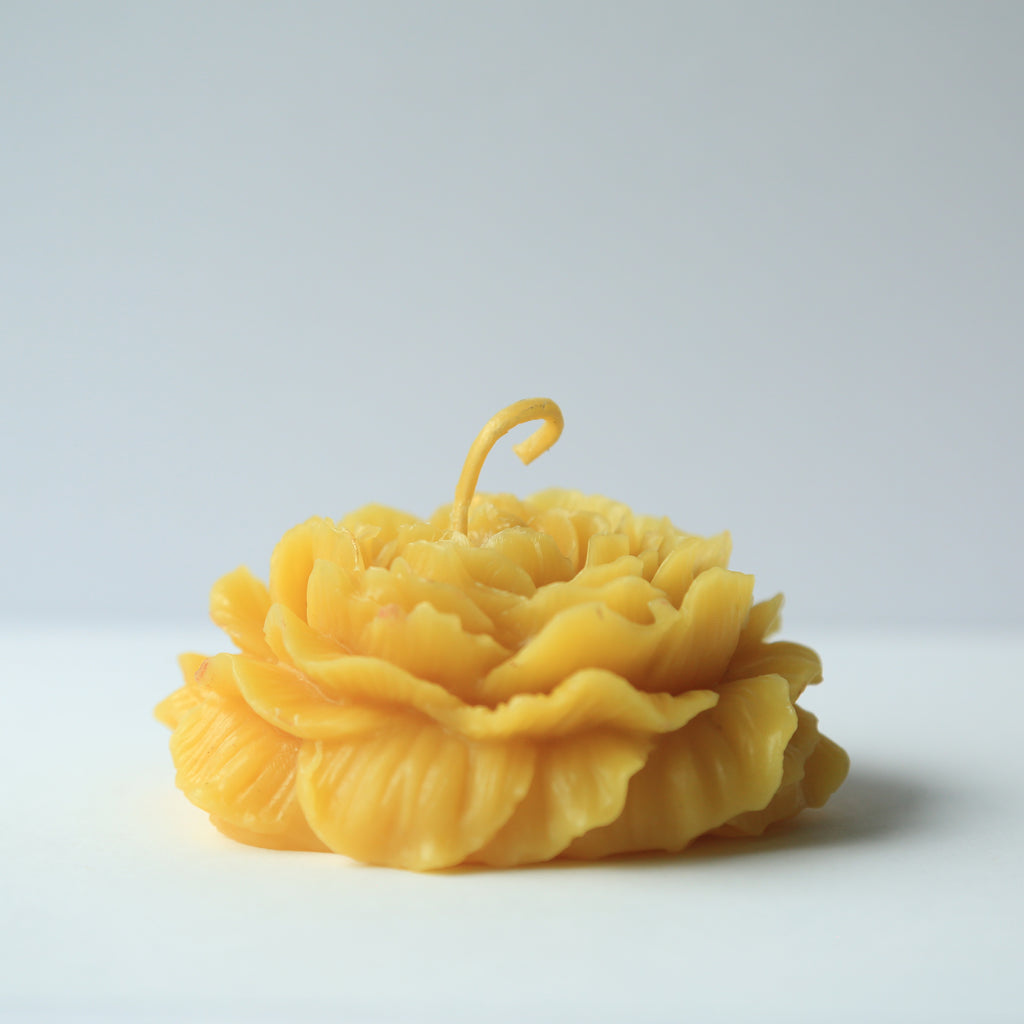 Rose Candle I 100% Beeswax