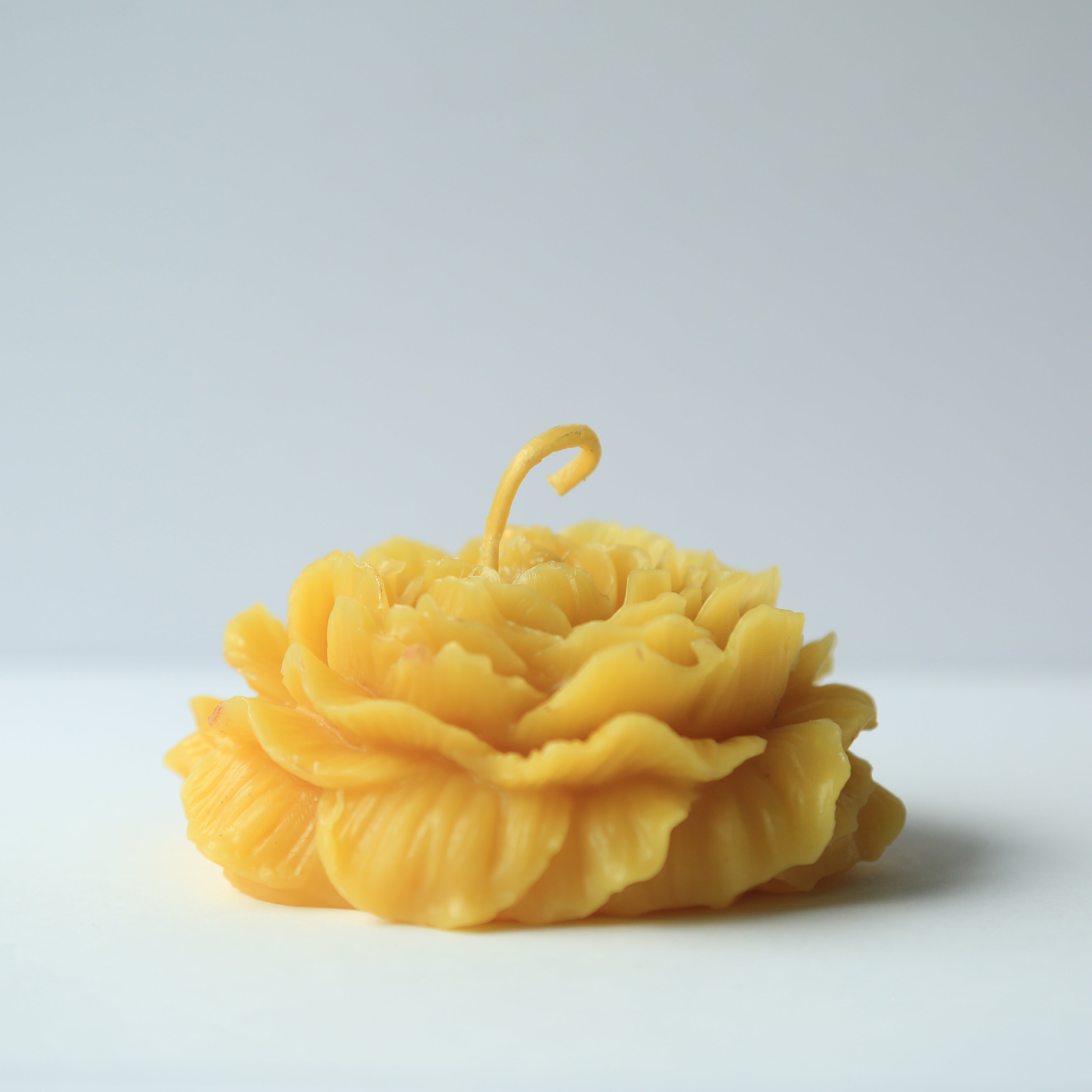 Rose Candle I 100% Beeswax