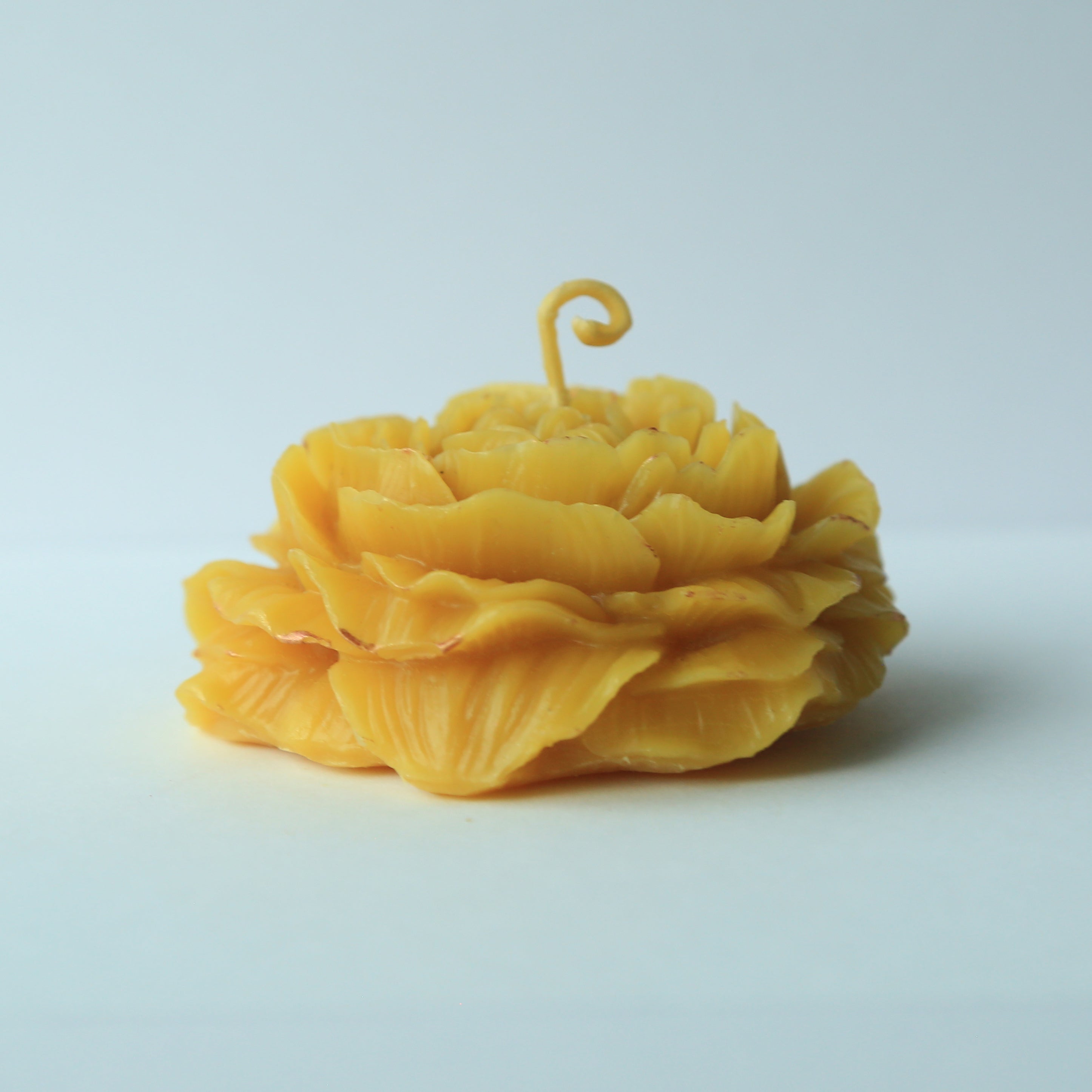 Rose Candle I 100% Beeswax