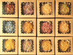 Rose Candle I 100% Beeswax
